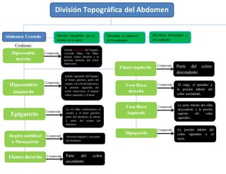 Contiene:
Comprende:
Comprende:
Comprende:
Comprende:
Comprende:
División Topográfica del Abdomen
Abdomen Cerrado
Hipocondrio
derecho
División topográfica que se
efectúa en la pared
abdominal.
Determina la existencia
de 9 cuadrantes
Dos líneas horizontales y
dos verticales
Hipocondrio
izquierdo
Epigastrio
Lóbulo derecho del hígado,
vesícula biliar, vía biliar,
ángulo cólico derecho y la
porción derecha del colon
transverso.
Lóbulo izquierdo del hígado,
el fondo gástrico, parte del
cuerpo y la cola del páncreas,
la porción izquierda del
colon transverso, el ángulo
cólico izquierdo y el bazo.
La vía biliar extrahepática, el
cuerpo y el antro gástrico,
parte del duodeno, la cabeza
y parte del cuerpo del
páncreas.
Región umbilical
o Mesogastrio
Intestino delgado y una parte
del duodeno.
La porción inferior del
colon sigmoides y el
recto.
Flanco derecho Parte del colon
ascendente
Flanco izquierdo
Fosa ilíaca
derecha
Fosa ilíaca
izquierda
Hipogastrio
Parte del colon
descendente
Comprende:
El ciego, el apéndice y
la porción inferior del
colon ascendente.
Comprende:
La parte inferior del colon
descendente y la porción
superior del colon
sigmoides.
Comprende:
Comprende:
 