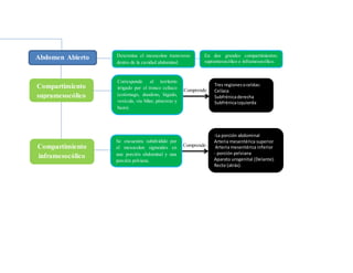 Comprende:
Comprende:
Abdomen Abierto
Compartimiento
supramesocólico
Compartimiento
inframesocólico
Tres regionesoceldas:
Celíaca
Subfrénicaderecha
Subfrénicaizquierda
-La porción abdominal
Arteria mesentérica superior
Arteria mesentérica inferior
- porción pelviana
Aparato urogenital (Delante).
Recto (atrás).
Determina el mesocolon transverso
dentro de la cavidad abdominal.
Corresponde al territorio
irrigado por el tronco celíaco
(estómago, duodeno, hígado,
vesícula, vía biliar, páncreas y
bazo).
Se encuentra subdividido por
el mesocolon sigmoides en
una porción abdominal y una
porción pelviana.
En dos grandes compartimientos:
supramesocólico e inframesocólico.
 