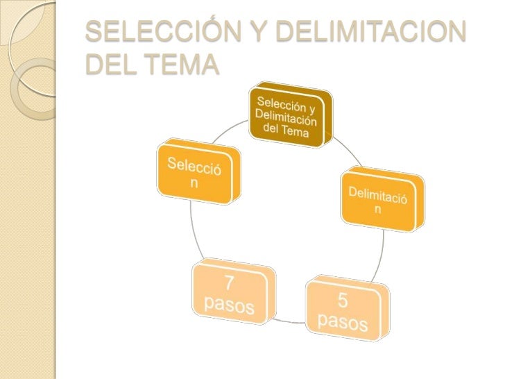 Seleccion Y Delimitacion del Tema