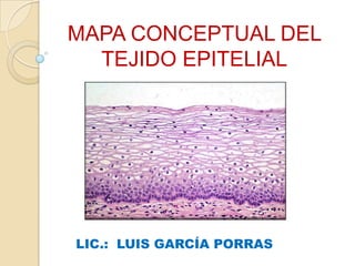 MAPA CONCEPTUAL DEL
TEJIDO EPITELIAL
LIC.: LUIS GARCÍA PORRAS
 
