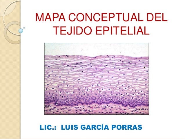 Mapa conceptual del tejido epitelial
