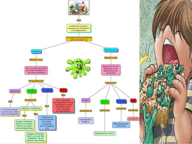 Mapa conceptual de m.o