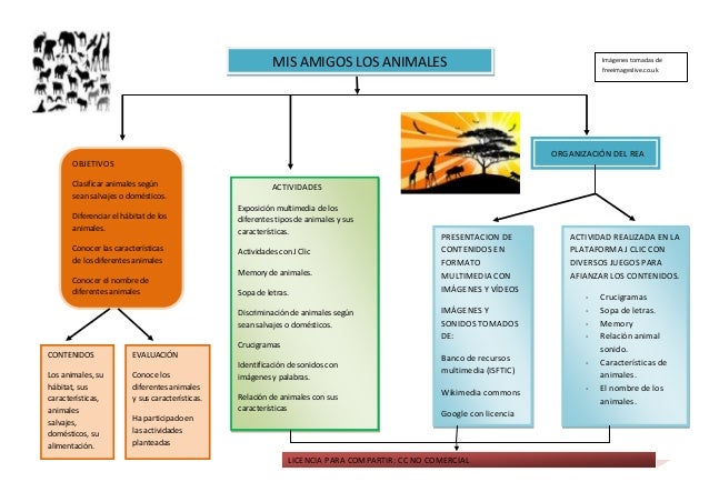 Mapa conceptual de rea