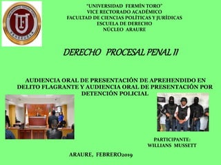 “UNIVERSIDAD FERMÍN TORO”
VICE RECTORADO ACADÉMICO
FACULTAD DE CIENCIAS POLÍTICAS Y JURÍDICAS
ESCUELA DE DERECHO
NÚCLEO ARAURE
PARTICIPANTE:
WILLIANS MUSSETT
ARAURE, FEBRERO2019
DERECHO PROCESALPENALII
AUDIENCIA ORAL DE PRESENTACIÓN DE APREHENDIDO EN
DELITO FLAGRANTE Y AUDIENCIA ORAL DE PRESENTACIÓN POR
DETENCIÓN POLICIAL
 