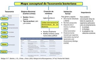 Mapa conceptual de taxonomía 