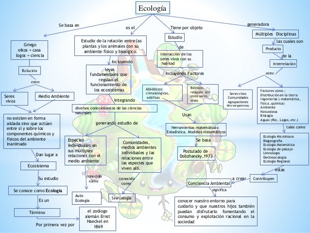 Mapa conceptual ecologia_rafael