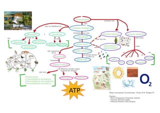 Mapa conceptual: Ecosistemas. 
