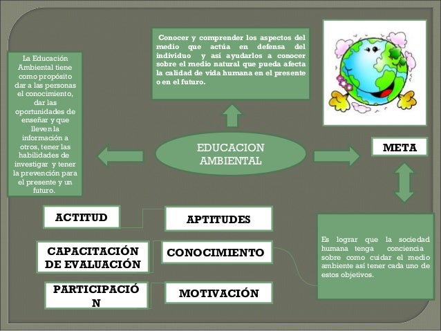 Mapa conceptual educación ambiental