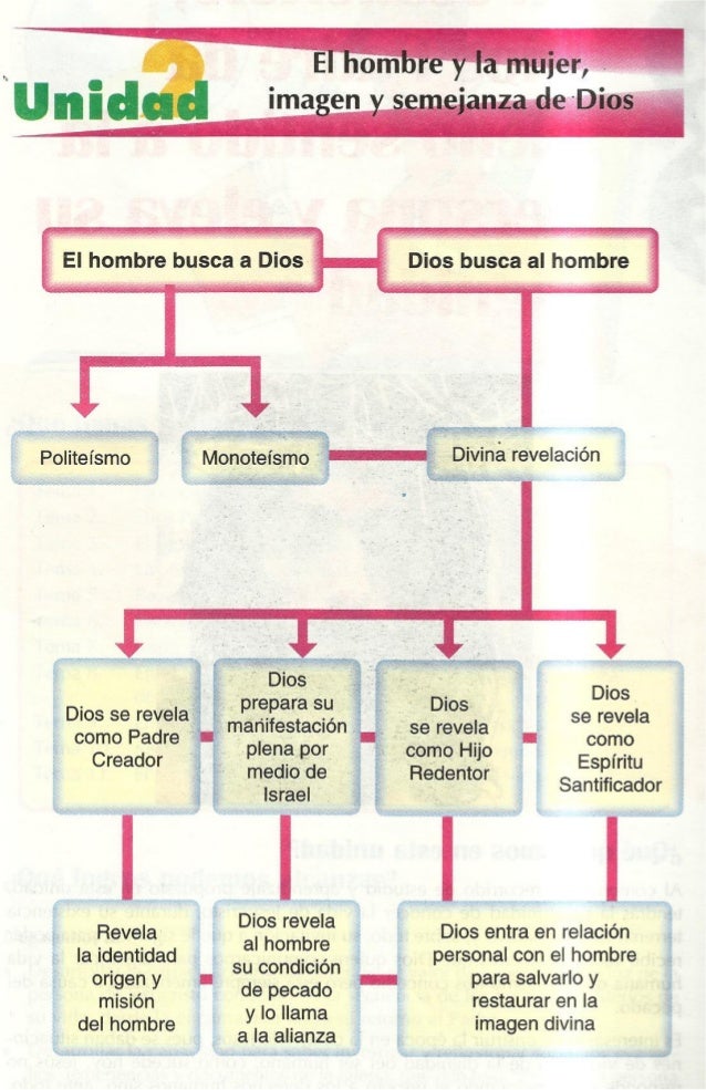 Mapa conceptual el hombre y la mujer Imagen de Dios