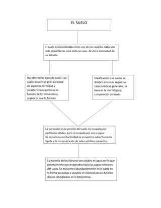 EL SUELO
El suelo es considerado como uno de los recursos naturales
más importantes para todo ser vivo, de ahí la necesidad de
su estudio.
Hay diferentes tipos de suelo: Los
suelos muestran gran variedad
de aspectos, fertilidad y
características químicas en
función de los minerales y
orgánicos que lo forman.
Clasificación: Los suelos se
dividen en clases según sus
características generales, se
basa en la morfología y
composición del suelo.
La porosidad es la porción del suelo no ocupada por
partículas sólidas, pero sí ocupada por aire y agua.
Se denomina conductividad se encuentra estrechamente
ligada a la concentración de sales solubles presentes.
La mayoría de los cloruros son soluble en agua por lo que
generalmente son arrastrados hacia las capas inferiores
del suelo. Se encuentra abundantemente en el suelo en
la forma de oxidos y silicatos en esencial para la función
deolos cloroplastos en la fotosíntesis.