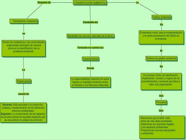 Mapas Conceptuales De La Conservacion Ambiental