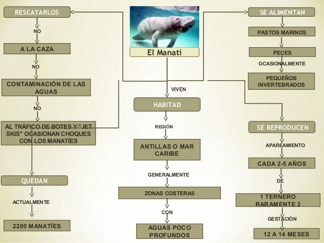 Resultado de imagen para mapa conceptual de la extincion de especies