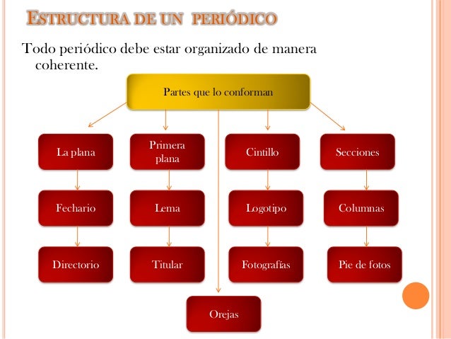 Mapa conceptual estructura de un periodico