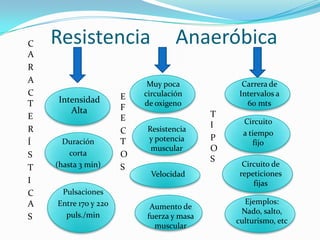 C   Resistencia                    Anaeróbica
A
R
A                          Muy poca            Carrera de
C                     E   circulación         Intervalos a
T   Intensidad            de oxigeno            60 mts
       Alta           F
E                     E                   T
                                          I     Circuito
R                     C   Resistencia
                                                a tiempo
Í     Duración        T   y potencia      P
                                                   fijo
                           muscular       O
S       corta         O
                                          S
T   (hasta 3 min)     S                         Circuito de
                            Velocidad          repeticiones
I                                                  fijas
C    Pulsaciones
A   Entre 170 y 220                             Ejemplos:
                           Aumento de
      puls./min                                Nado, salto,
S                         fuerza y masa
                                              culturismo, etc
                            muscular
 
