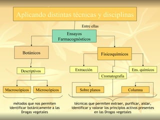 Fisicoquímicos Botánicos Ens. químicos Cromatografía Extracción Sobre planos Columna Descriptivos Microscópicos Macroscópicos Aplicando distintas técnicas y disciplinas Entre ellas técnicas que permiten extraer, purificar, aislar, identificar y valorar los principios activos presentes en las Drogas vegetales métodos que nos permiten identificar botánicamente a las Drogas vegetales Ensayos Farmacognósticos 