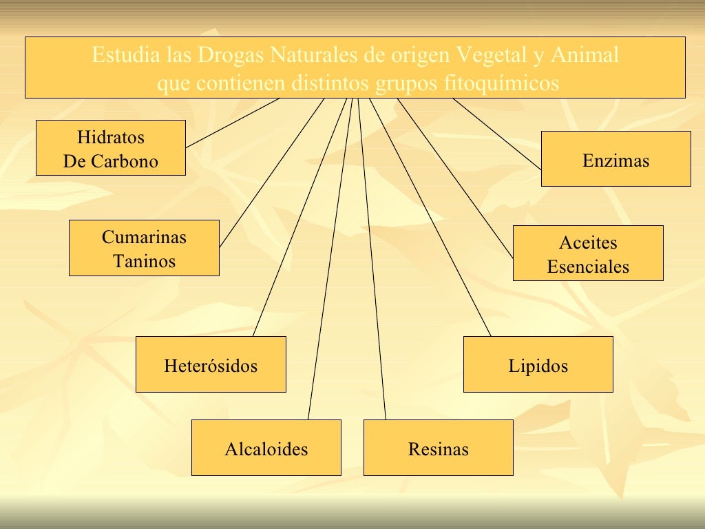 Mapa Conceptual Farmacognosia My XXX Hot Girl