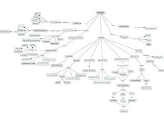 Mapa Conceptual Finanzas.pdf