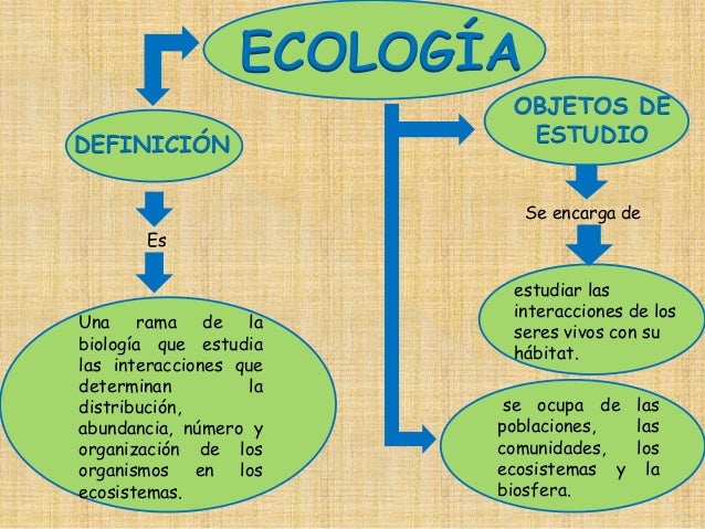 Mapa conceptual form cultural