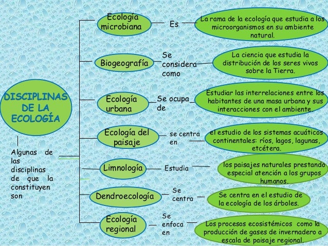 Mapa conceptual form cultural