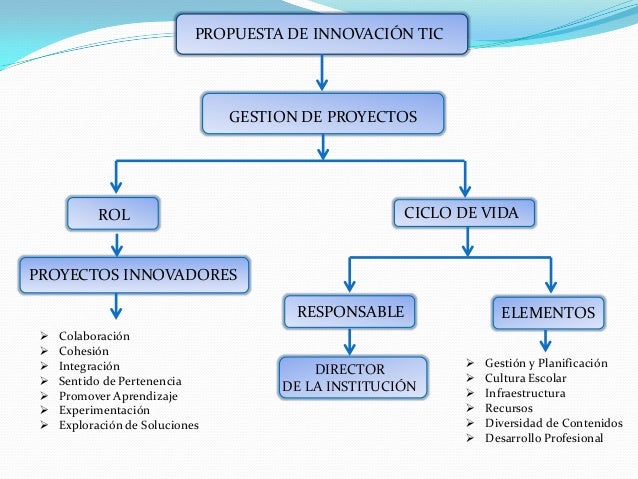Mapa conceptual gerencia de proyecto