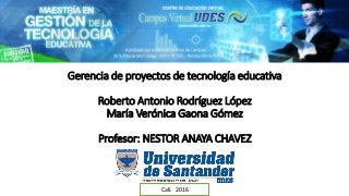 Gerencia de proyectos de tecnología educativa
Roberto Antonio Rodríguez López
María Verónica Gaona Gómez
Profesor: NESTOR ANAYA CHAVEZ
Cali. 2016
 