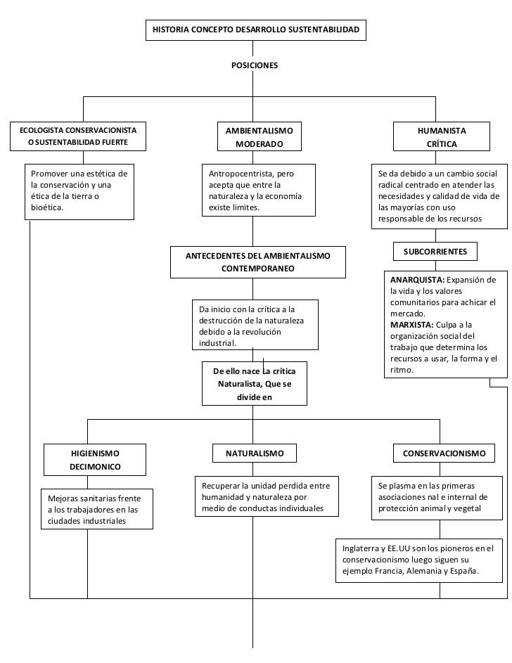 Mapa conceptual historia concepto desarrollo sustentable