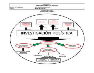 Mapa conceptual investigación holistíca