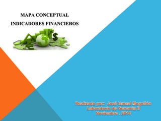 MAPA CONCEPTUAL 
INDICADORES FINANCIEROS 
 