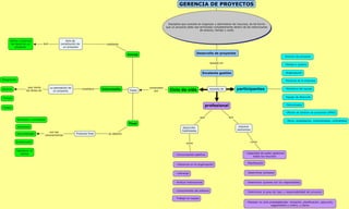 Mapa conceptual la gerencia y ciclo de vida de los proyectos