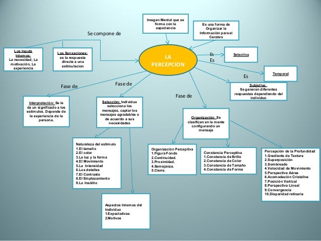 Mapa conceptual la percepcion y bases fisiologicas jmg