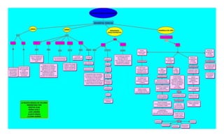Mapa conceptual lili