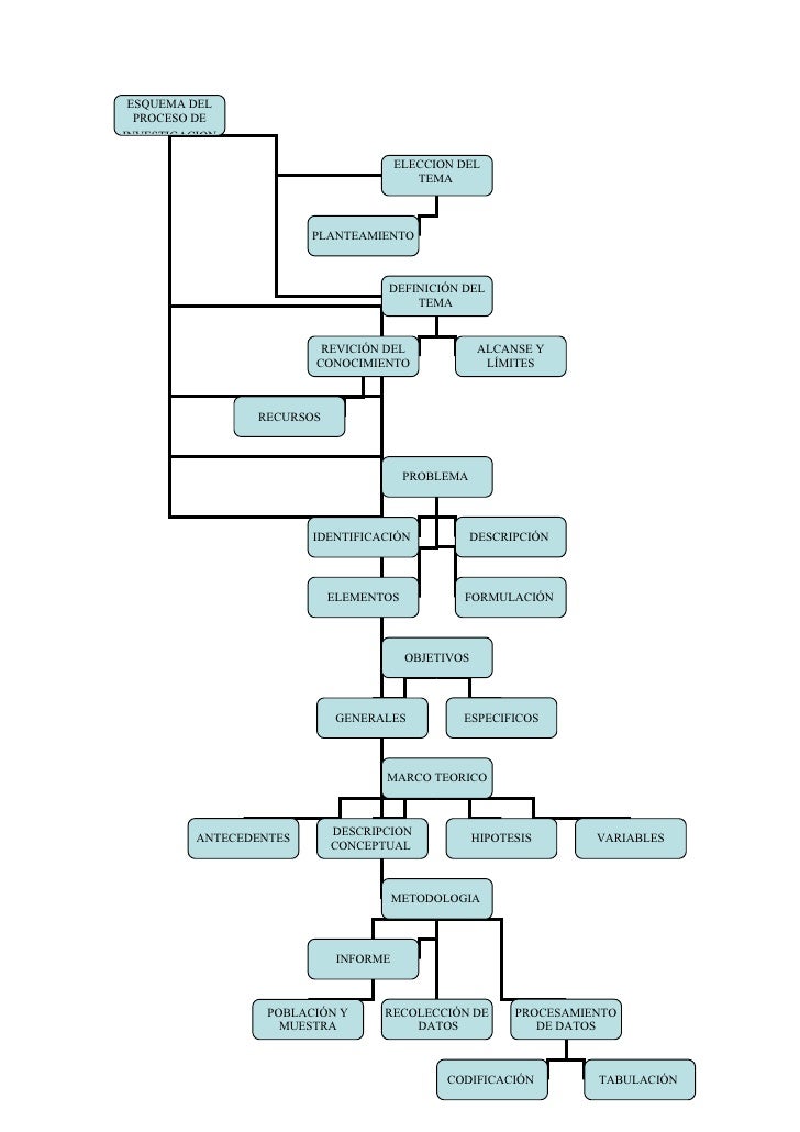 25 Elegante Pasos Del Mapa Conceptual