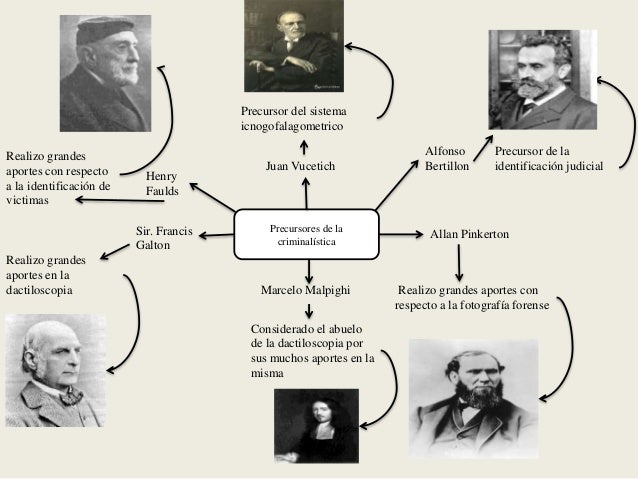 criminalistica