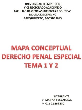 Mapaconceptualpenaltema1y2