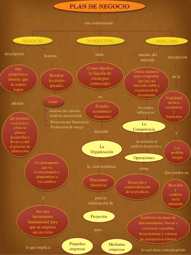 Mapa conceptual (plan de negocio)