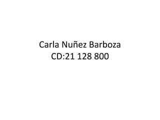 Carla Nuñez Barboza
CD:21 128 800
 