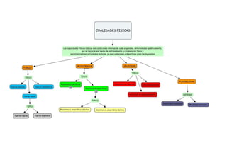 Mapa conceptual preparación física