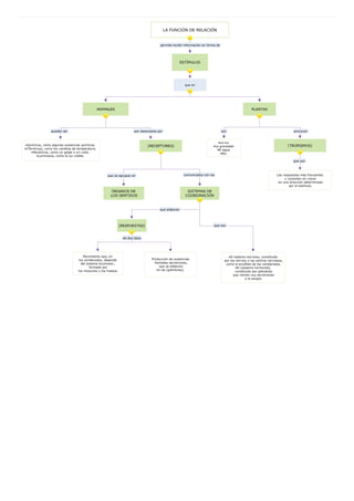 Mapa conceptual relación