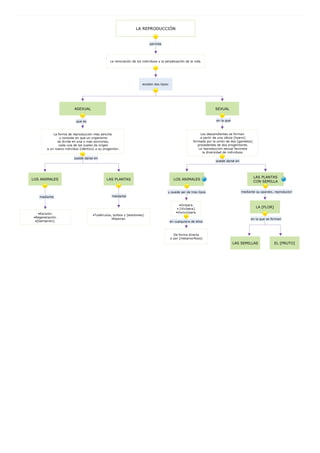 Mapa conceptual reproducción