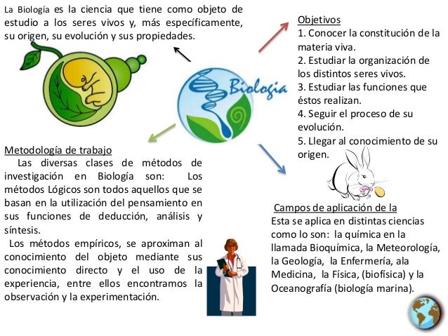 Mapa mental Biologia