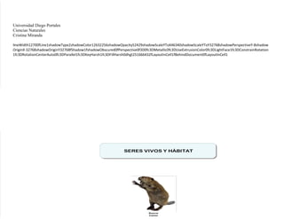Universidad Diego Portales
Ciencias Naturales
Cristina Miranda

lineWidth12700fLine1shadowType2shadowColor12632256shadowOpacity52429shadowScaleYToX46340shadowScaleYToY32768shadowPerspectiveY-8shadow
OriginX-32768shadowOriginY32768fShadow1fshadowObscured0fPerspective0f3D0fc3DMetallic0fc3DUseExtrusionColor0fc3DLightFace1fc3DConstrainRotation
1fc3DRotationCenterAuto0fc3DParallel1fc3DKeyHarsh1fc3DFillHarsh0dhgt251666432fLayoutInCell1fBehindDocument0fLayoutInCell1




                                                             SERES VIVOS Y HÁBITAT




                                                                           Beaver
                                                                           Castor
 