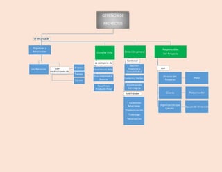 Mapa conceptual sobre gerencia de proyectos y ciclo de vida de un proyecto