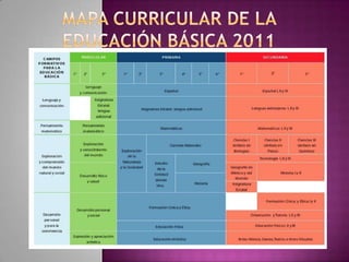 Mapa curricular de la educación básica