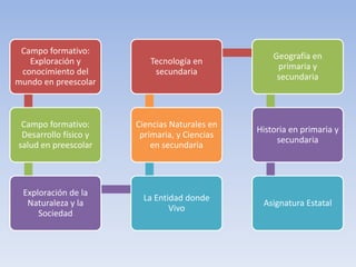 Campo formativo:
Exploración y
conocimiento del
mundo en preescolar

Tecnología en
secundaria

Geografía en
primaria y
secundaria

Campo formativo:
Desarrollo físico y
salud en preescolar

Ciencias Naturales en
primaria, y Ciencias
en secundaria

Historia en primaria y
secundaria

Exploración de la
Naturaleza y la
Sociedad

La Entidad donde
Vivo

Asignatura Estatal

 