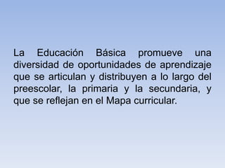 La Educación Básica promueve una
diversidad de oportunidades de aprendizaje
que se articulan y distribuyen a lo largo del
preescolar, la primaria y la secundaria, y
que se reflejan en el Mapa curricular.

 