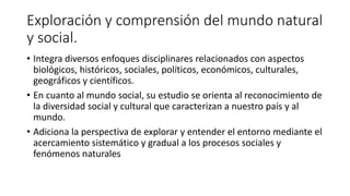 Exploración y comprensión del mundo natural
y social.
• Integra diversos enfoques disciplinares relacionados con aspectos
biológicos, históricos, sociales, políticos, económicos, culturales,
geográficos y científicos.
• En cuanto al mundo social, su estudio se orienta al reconocimiento de
la diversidad social y cultural que caracterizan a nuestro país y al
mundo.
• Adiciona la perspectiva de explorar y entender el entorno mediante el
acercamiento sistemático y gradual a los procesos sociales y
fenómenos naturales
 