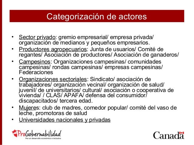 Resultado de imagen para actores de los sector publicos y privados motor N°13