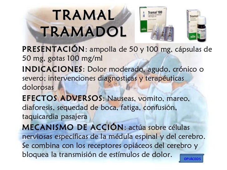 Dipirona Beneficios Subestimados O Riesgos