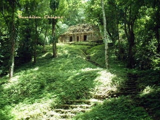 Yaxchilan, Chiapas
 