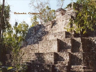 Balamkú, Campeche




                    Photo © 2002 by Sven Gronemeyer
 